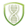 Orion Peptides